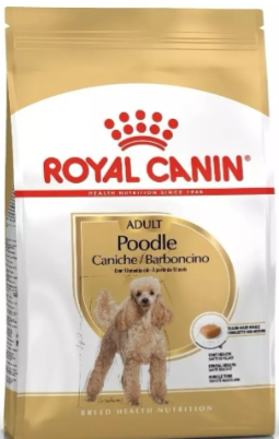 Royal Canin Caniche Adulto